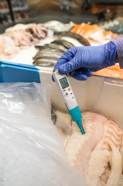 testo 206-pH3 - pH-metru cu mufă BNC